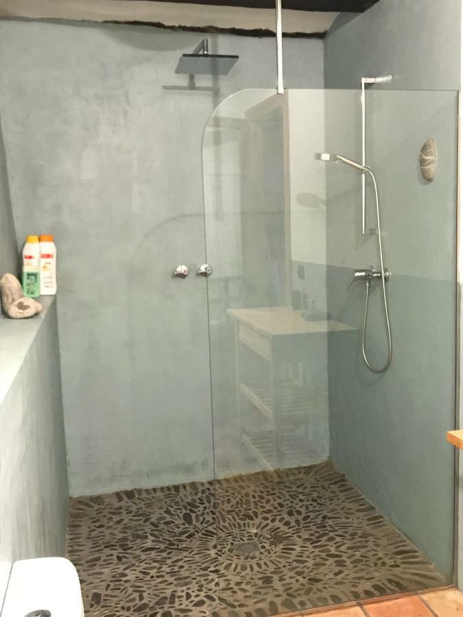 Casa Mingot Sxvi Anciles Benasque Lägenhet Exteriör bild