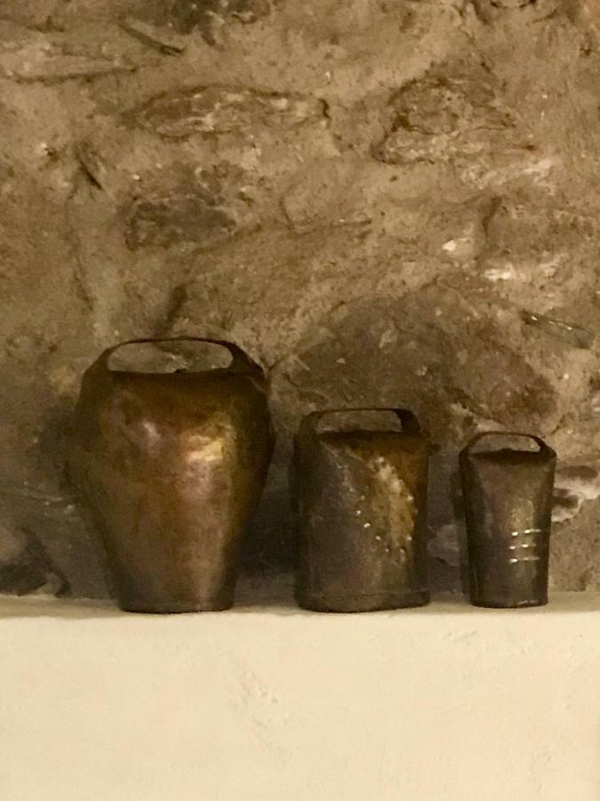Casa Mingot Sxvi Anciles Benasque Lägenhet Exteriör bild
